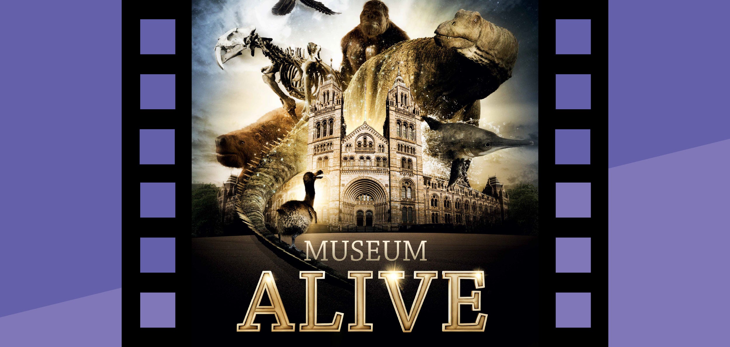 Museum Alive! 3D