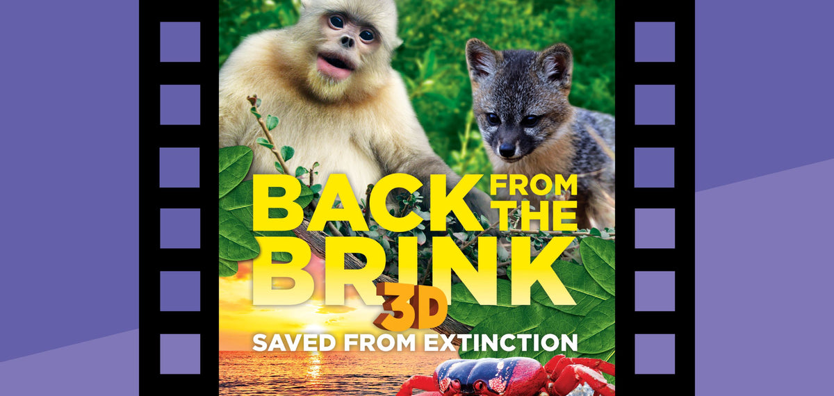 Back From The Brink
