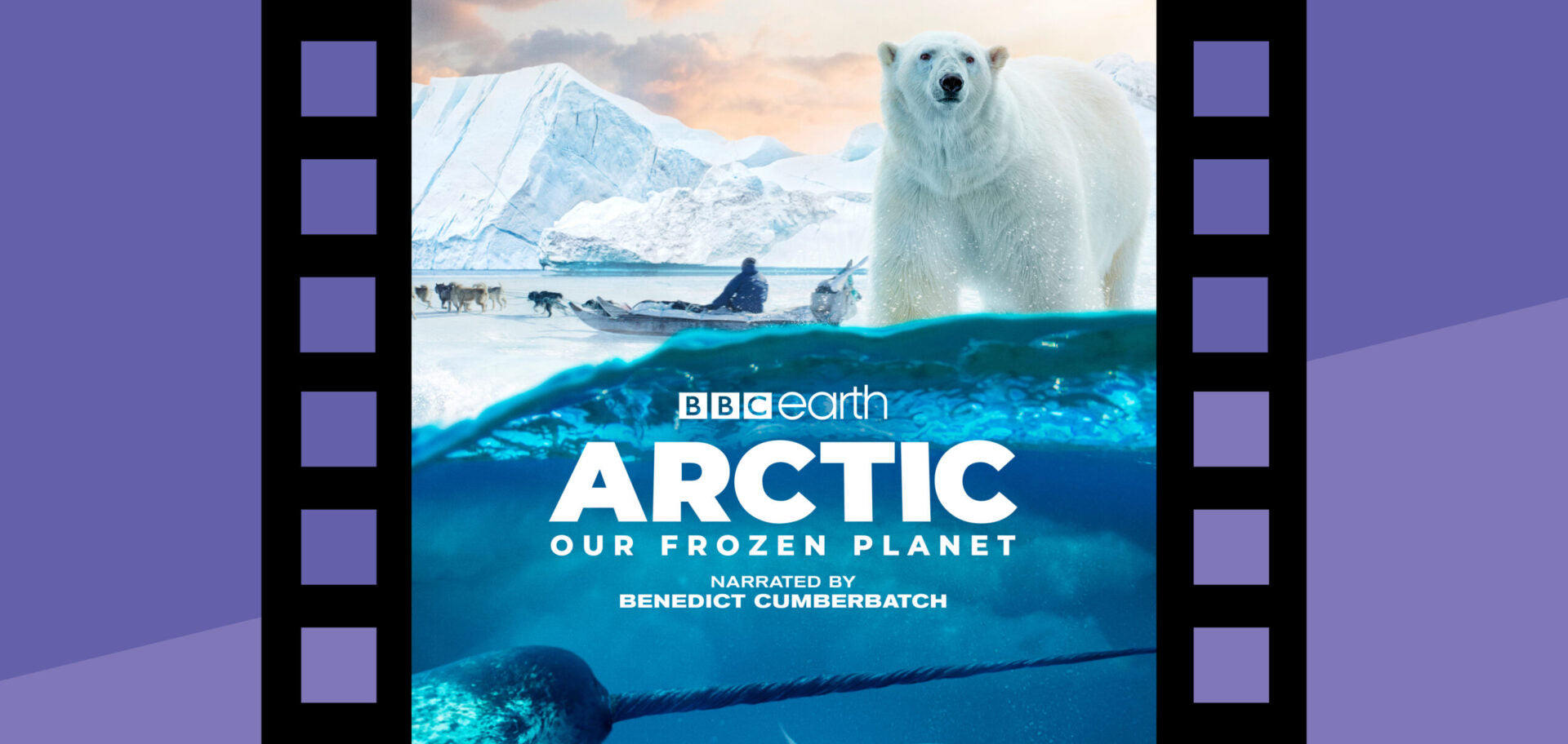 Arctic: Our Frozen Planet 3D