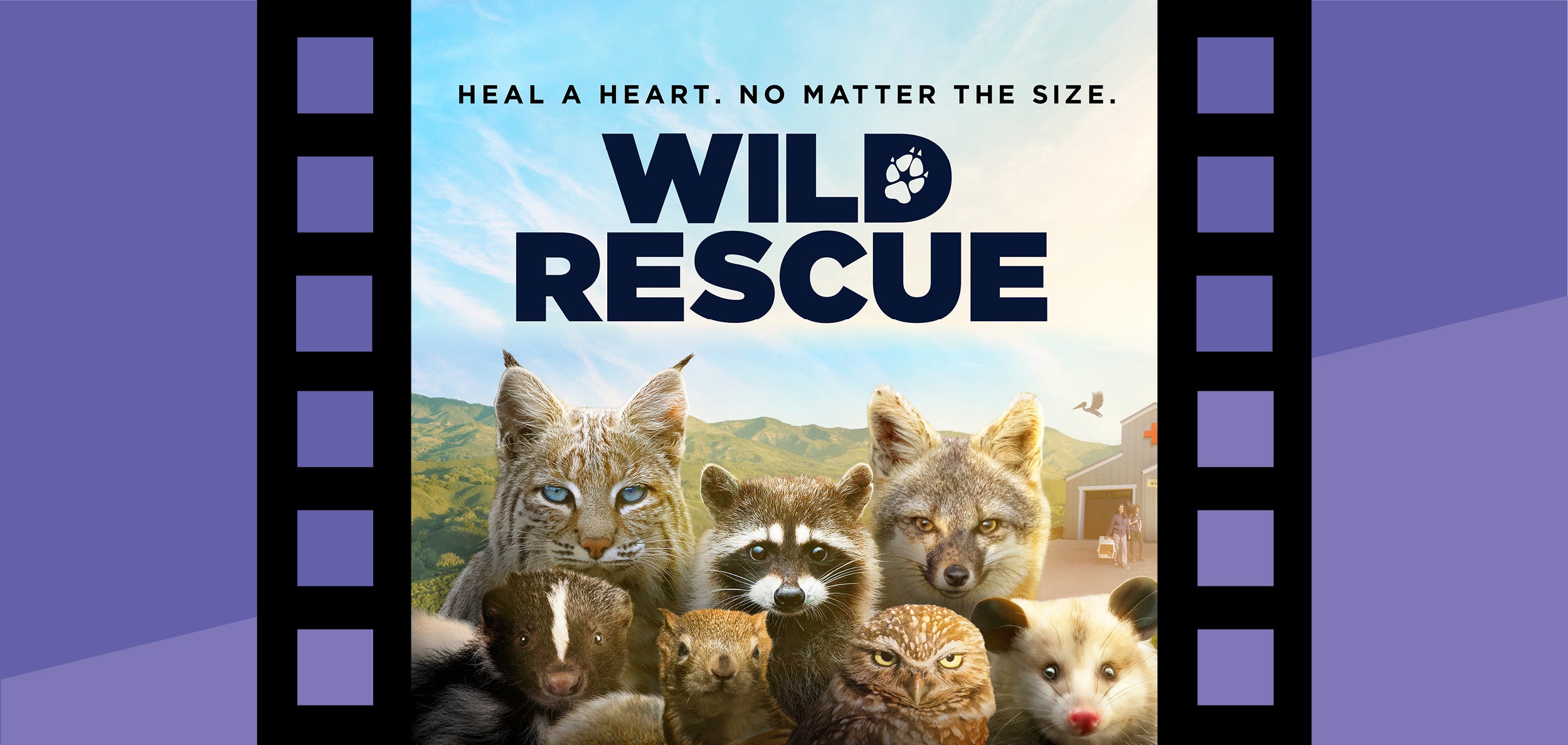 Wild Rescue 3D