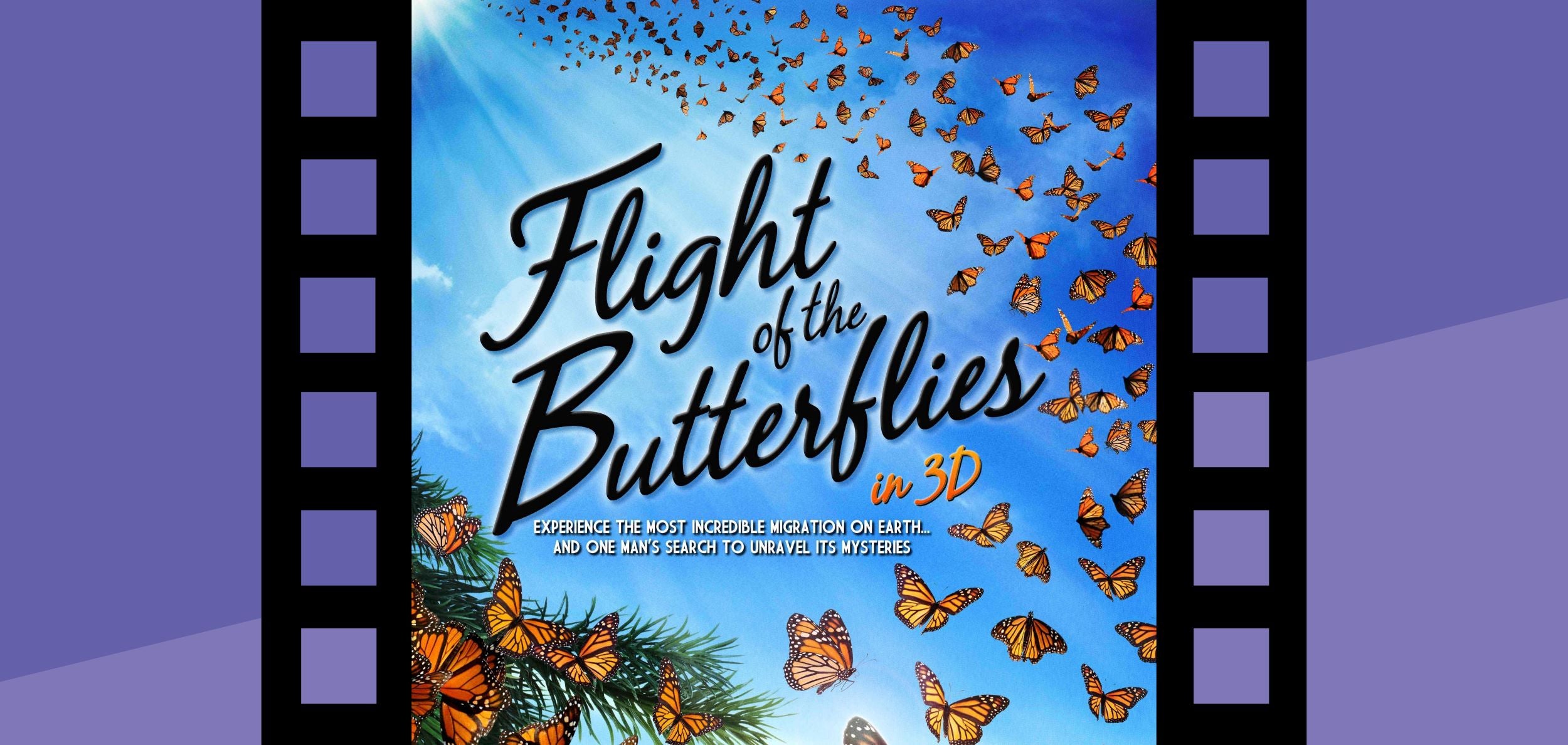 Flight of the Butterflies